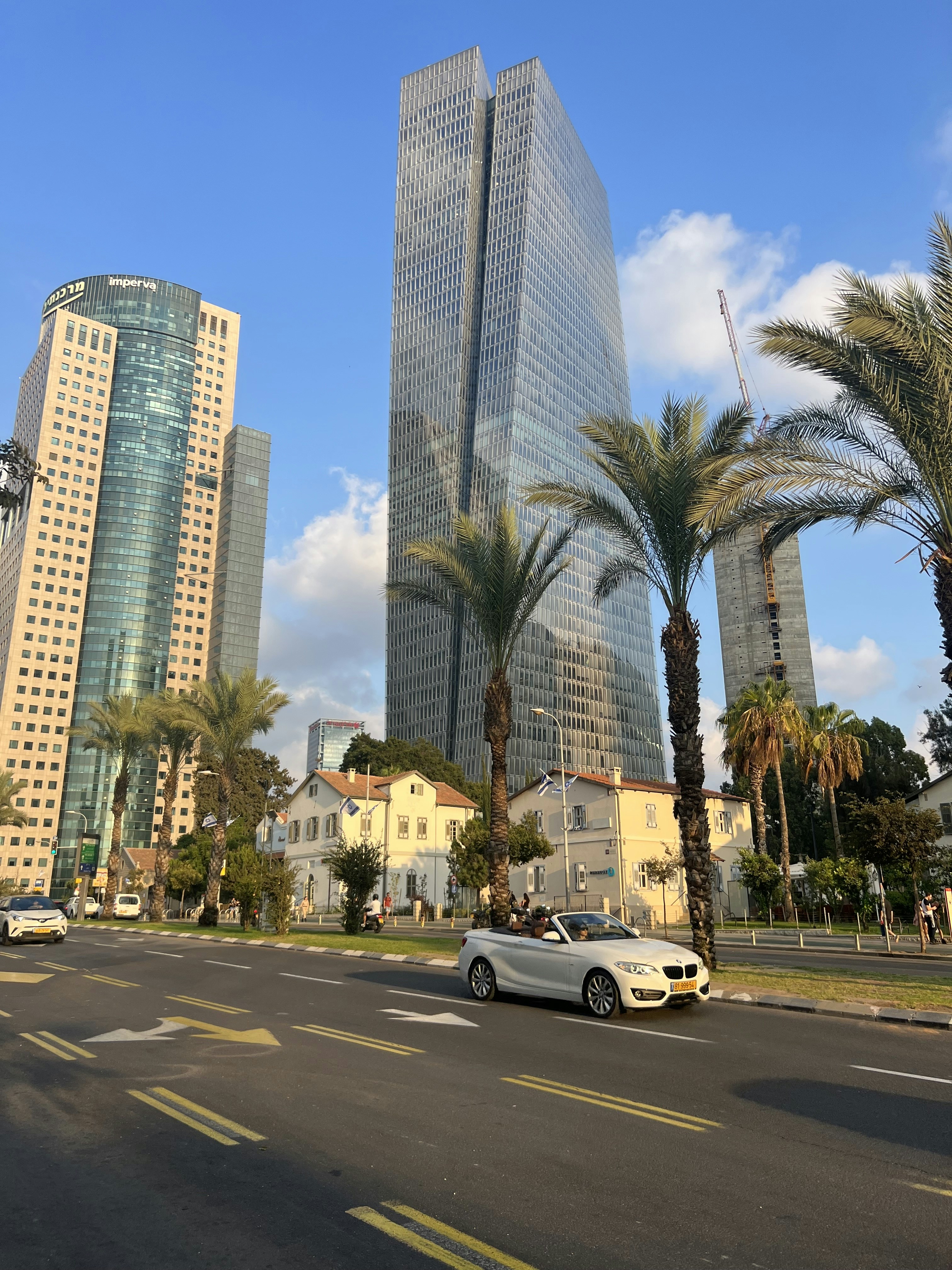 Modern minivan driving along a winding tropical road surrounded by palm trees