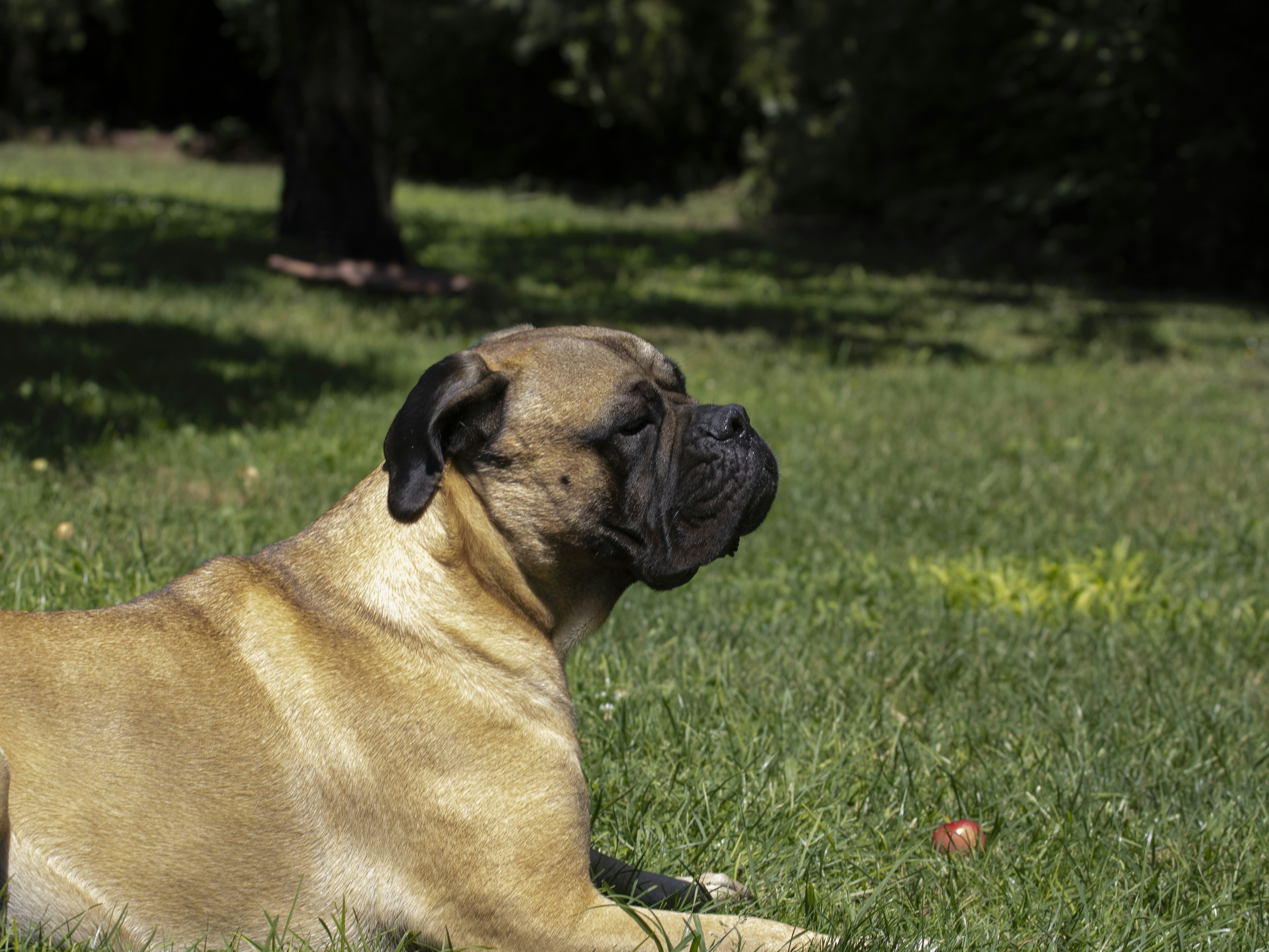 Photo by albertdavid6