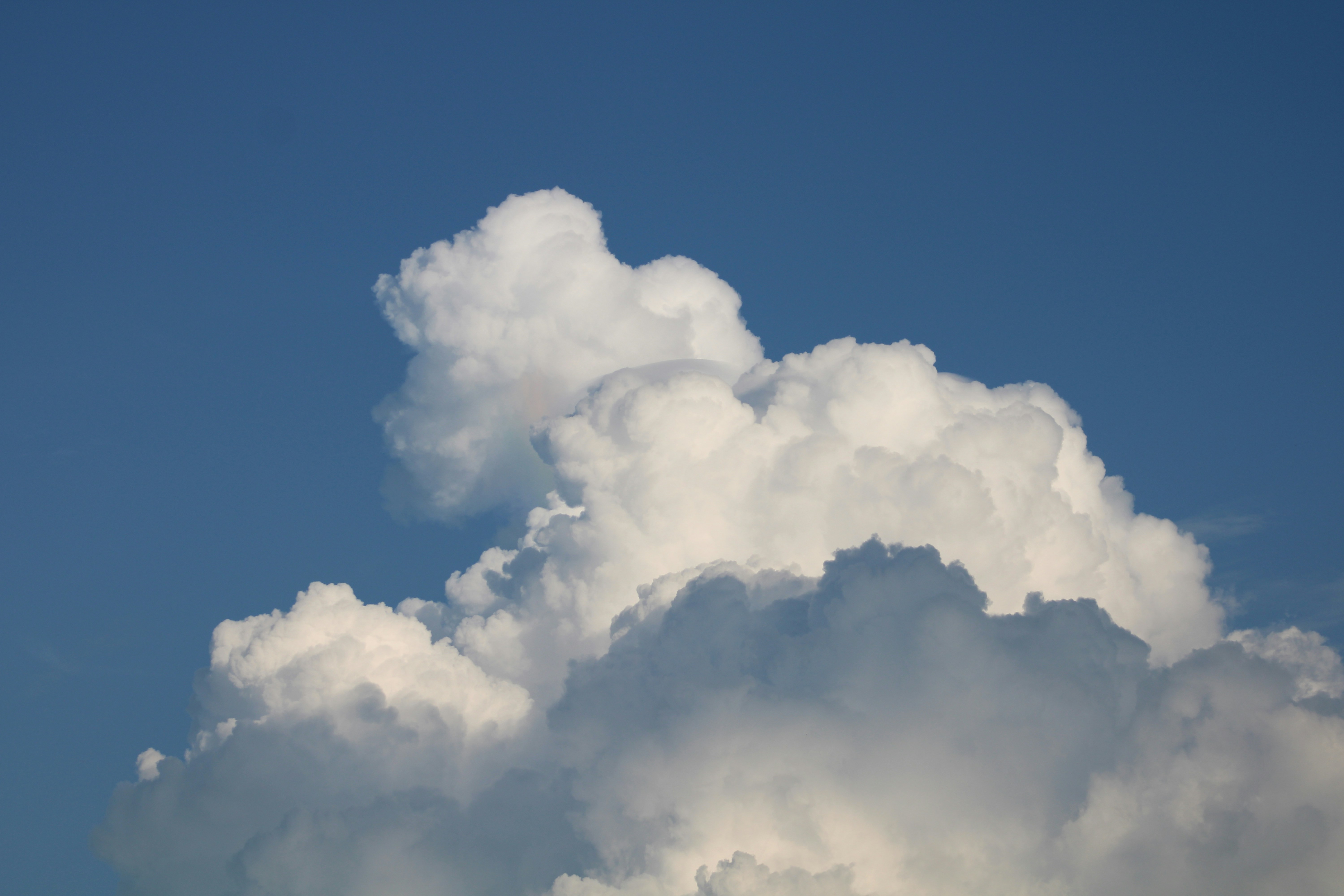 Photo by photoloveramico