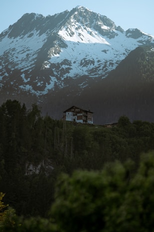 A serene mountain vacation home with tasteful furniture and panoramic views of pine forests.