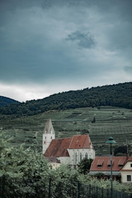 A picturesque landscape featuring a quaint church with a pointed steeple, surrounded by lush green vineyards and rolling hills under an overcast sky. The red-roofed building stands in contrast to the serene natural backdrop.