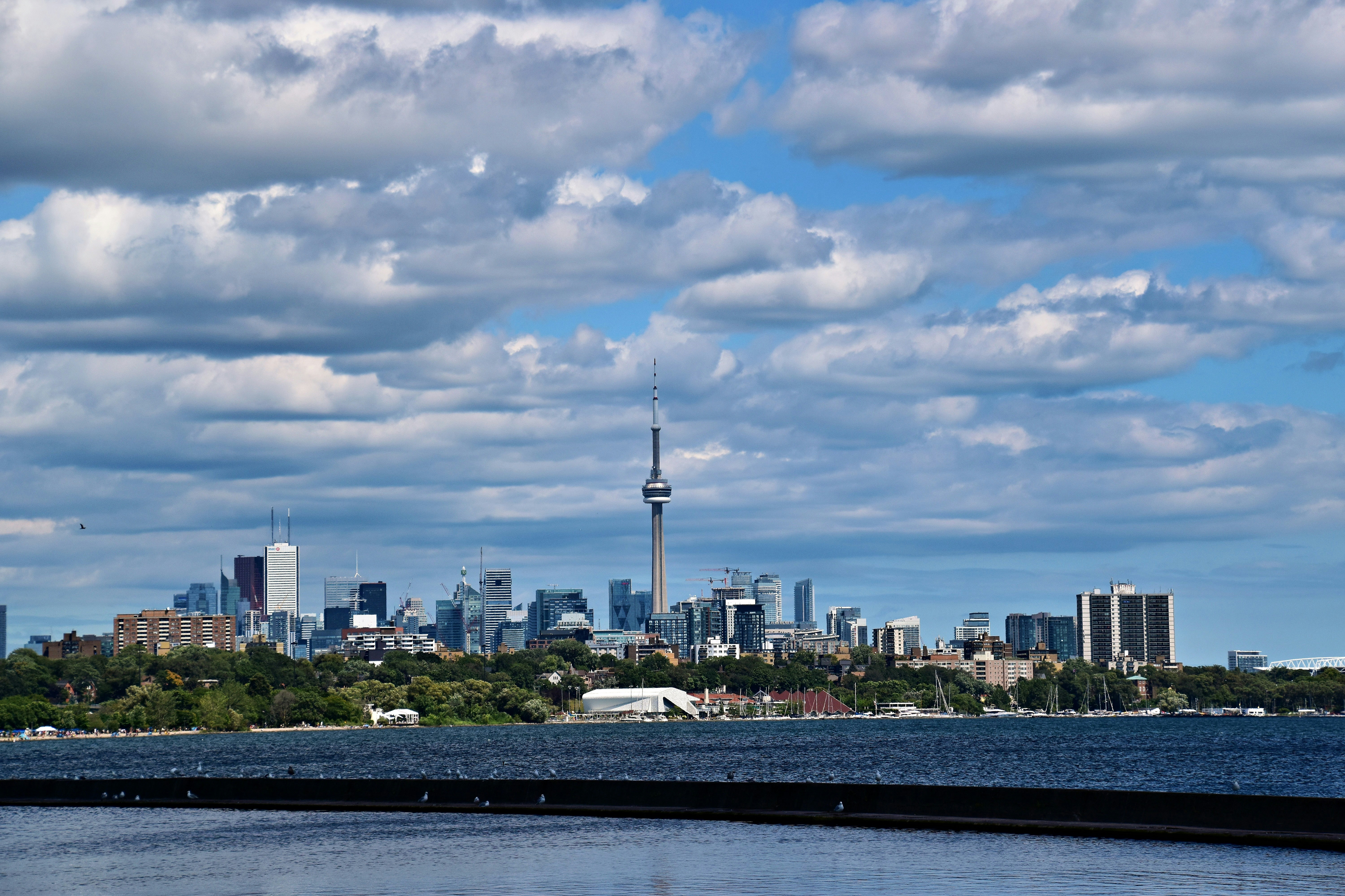 a large body of water with a city in the background