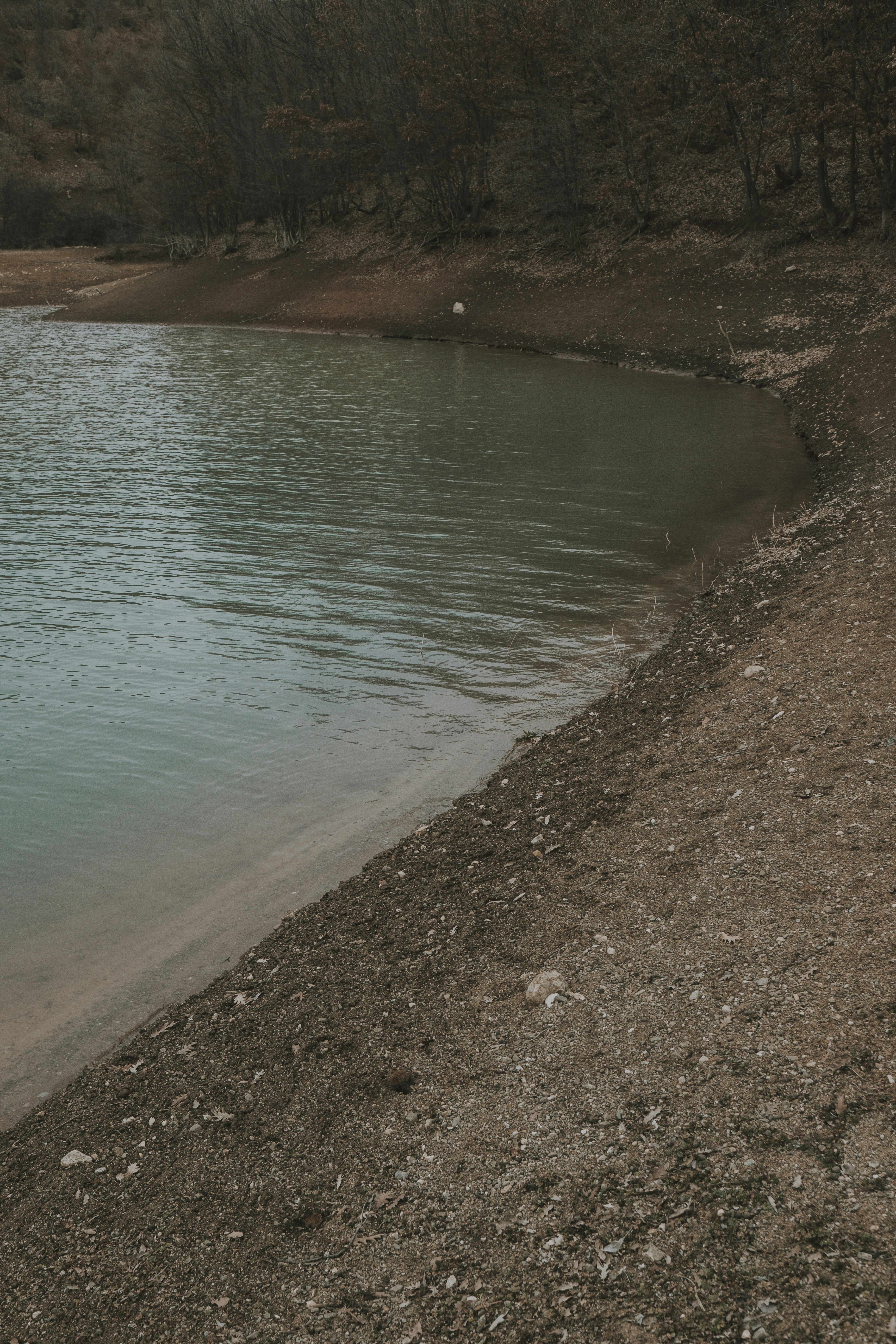 Photo by feyzayildirim