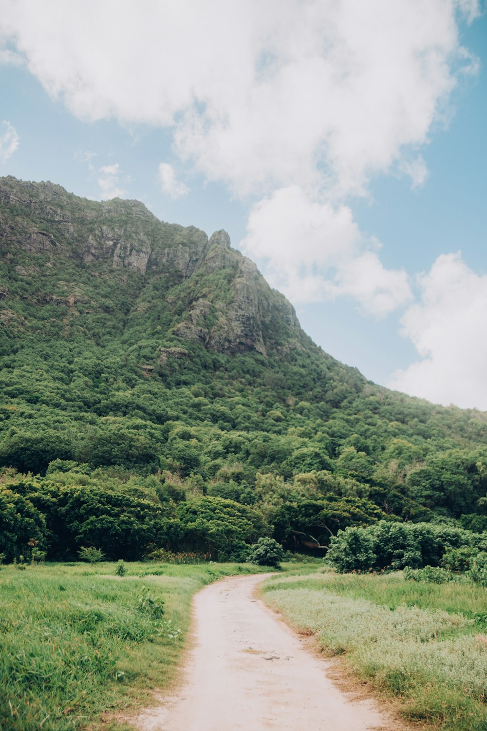 a dirt road in front of a lush green mountain