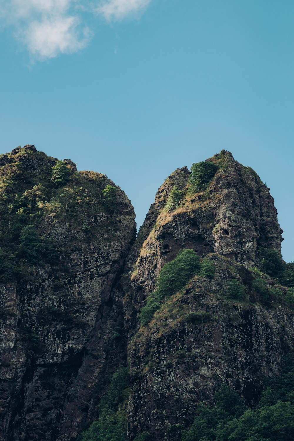 um par de grandes rochas sentadas no topo de uma colina verde exuberante