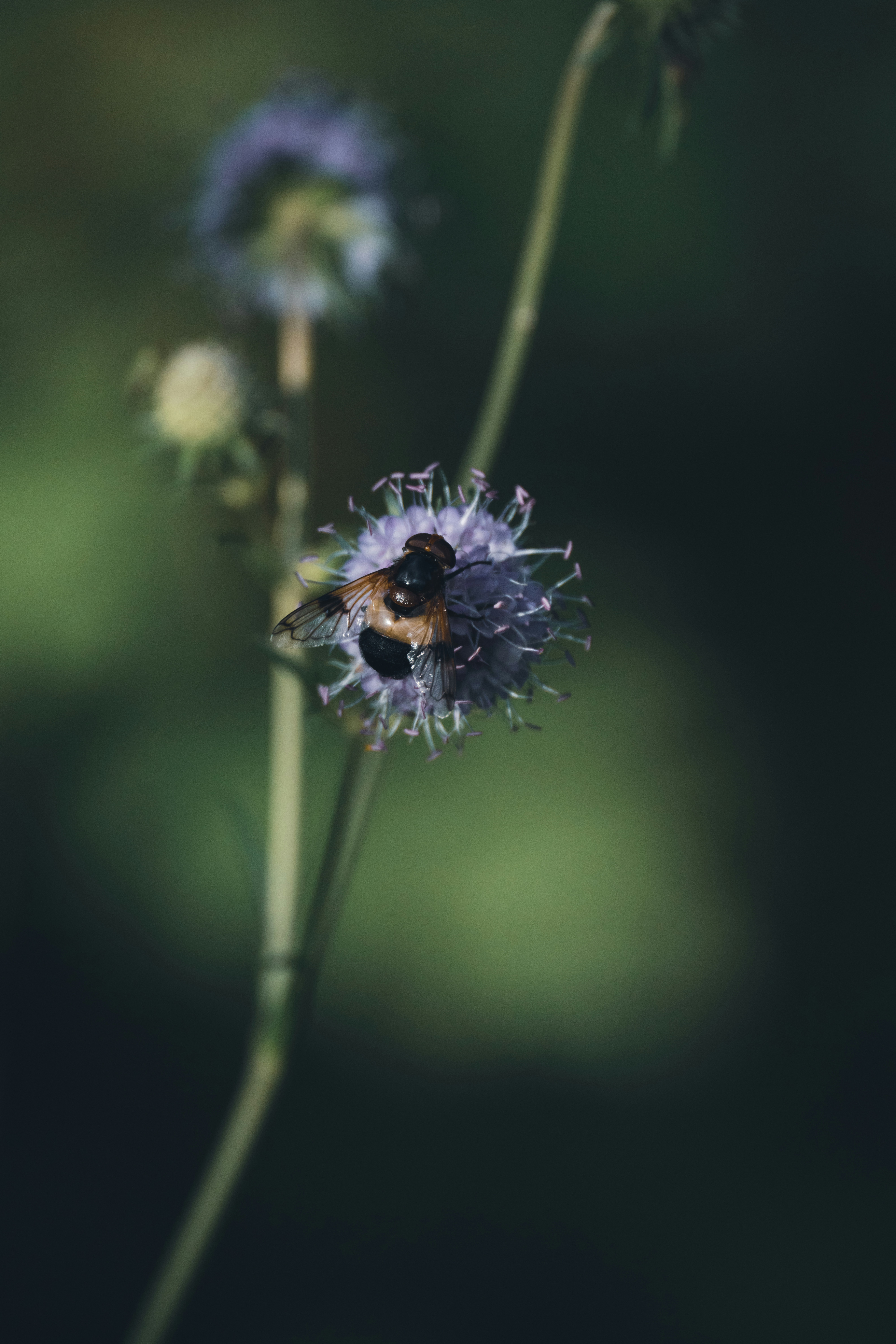 Photo by hellaren
