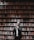 Photo of a thoughtful man in his 40s, dressed in business casual, standing by a bookshelf with legal books.
