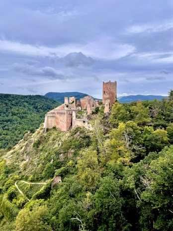 Historic castle ruins perched on a hilltop surrounded by lush green forests in Europe.