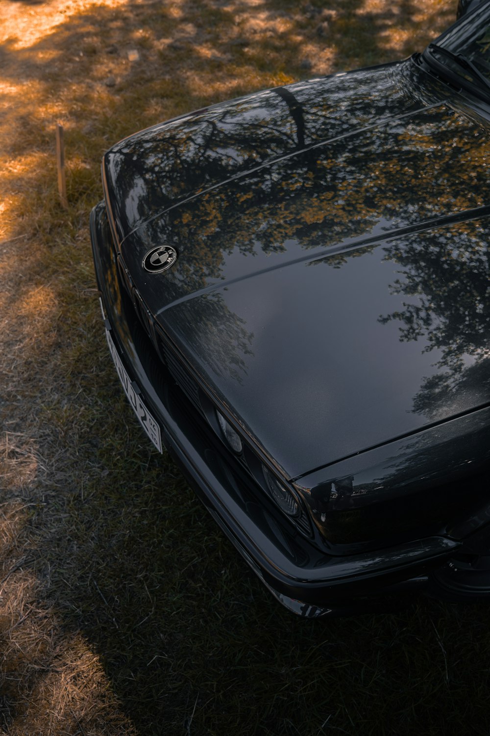 a black car parked in the grass near a tree