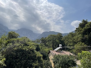 A serene landscape featuring a lush forest with green trees surrounding a small house with solar panels on the roof. In the background, rolling hills and mountains can be seen partially covered by clouds under a partly cloudy sky.