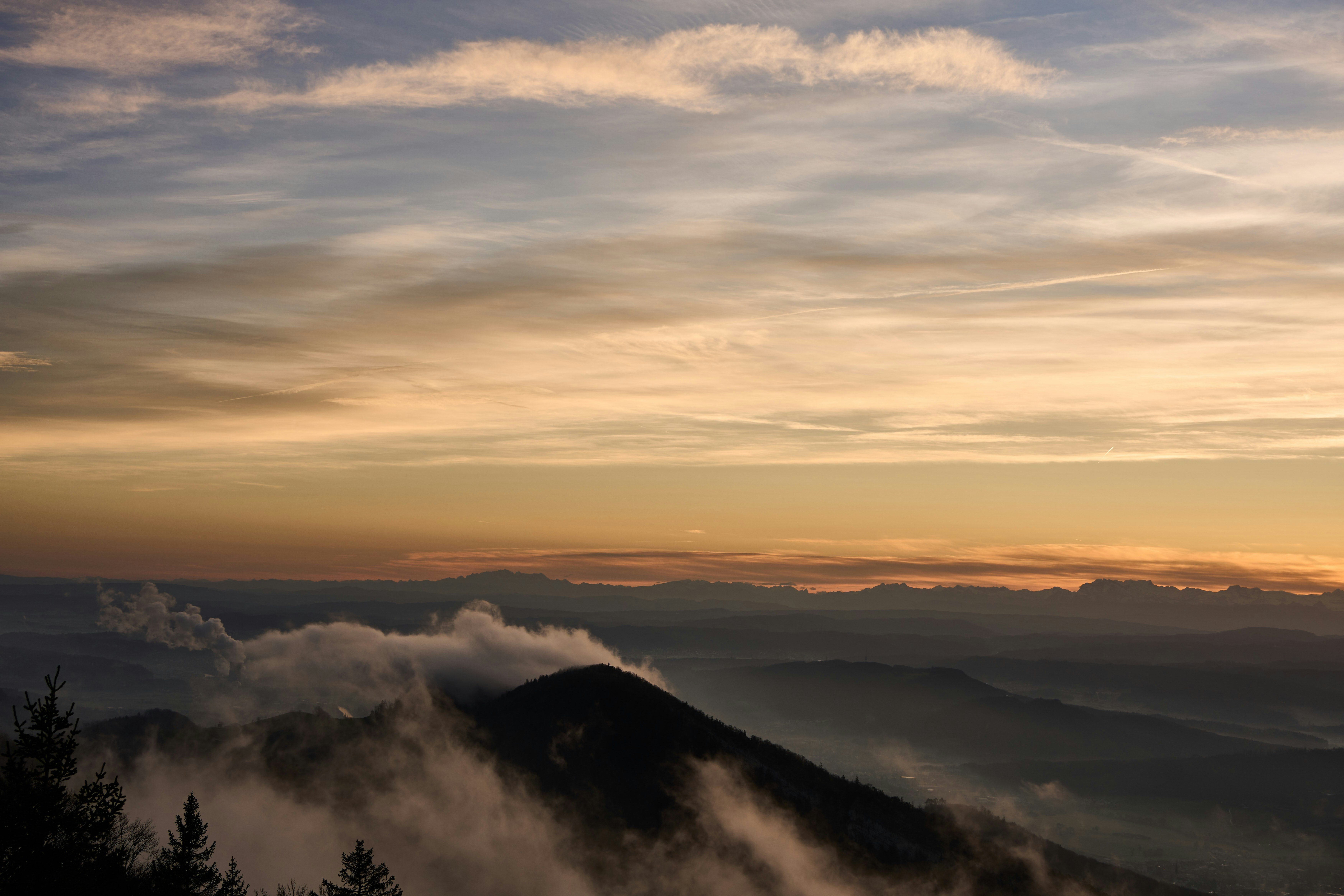 Photo by wolfgang_hasselmann