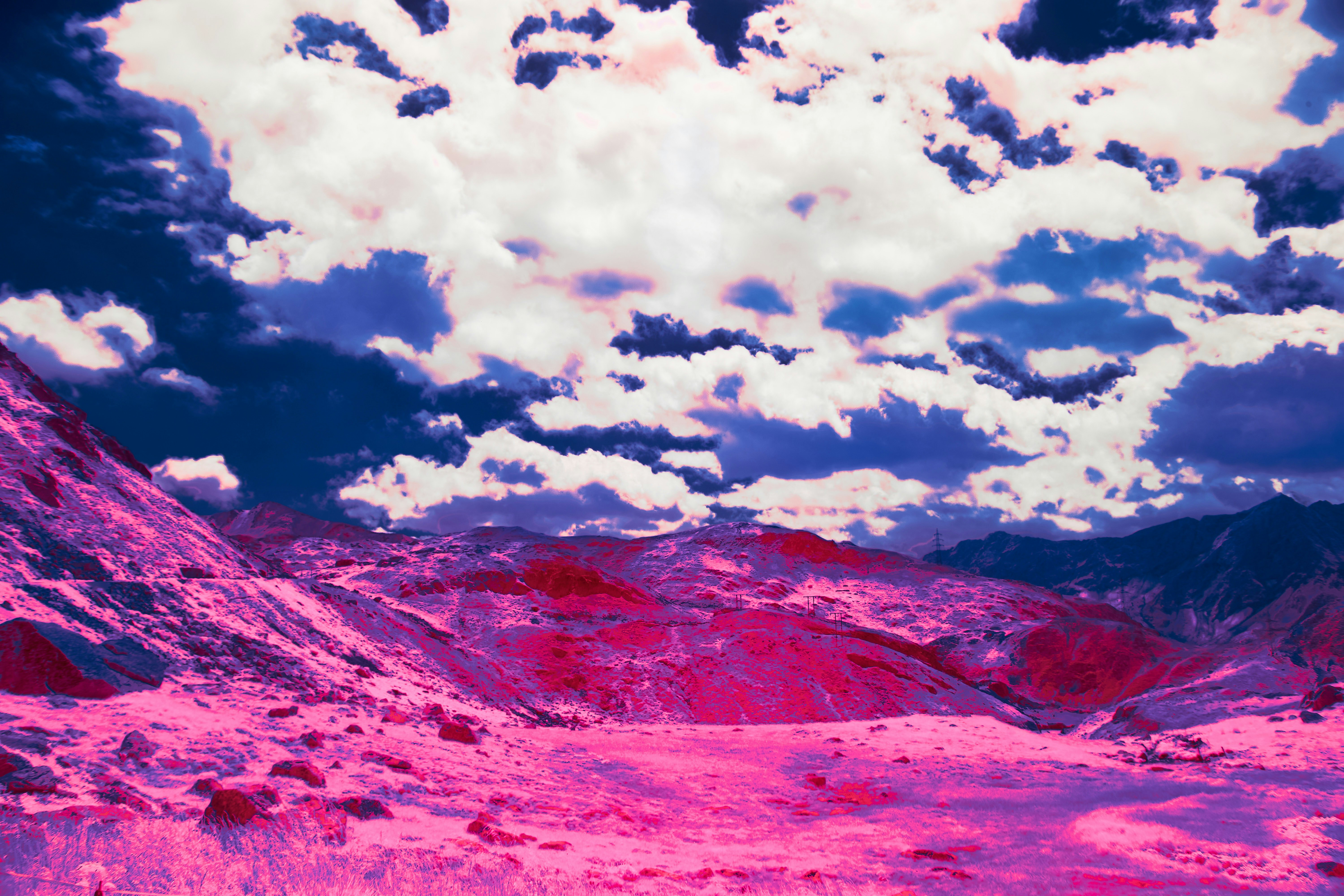 Photo by wolfgang_hasselmann