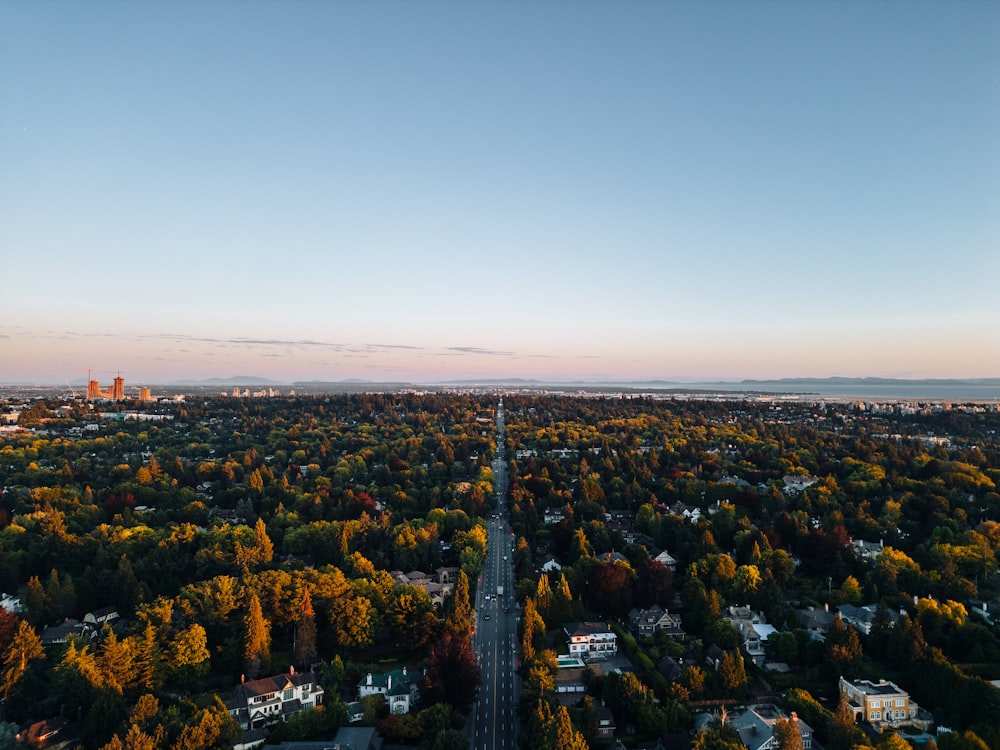 una vista aerea di una città con molti alberi