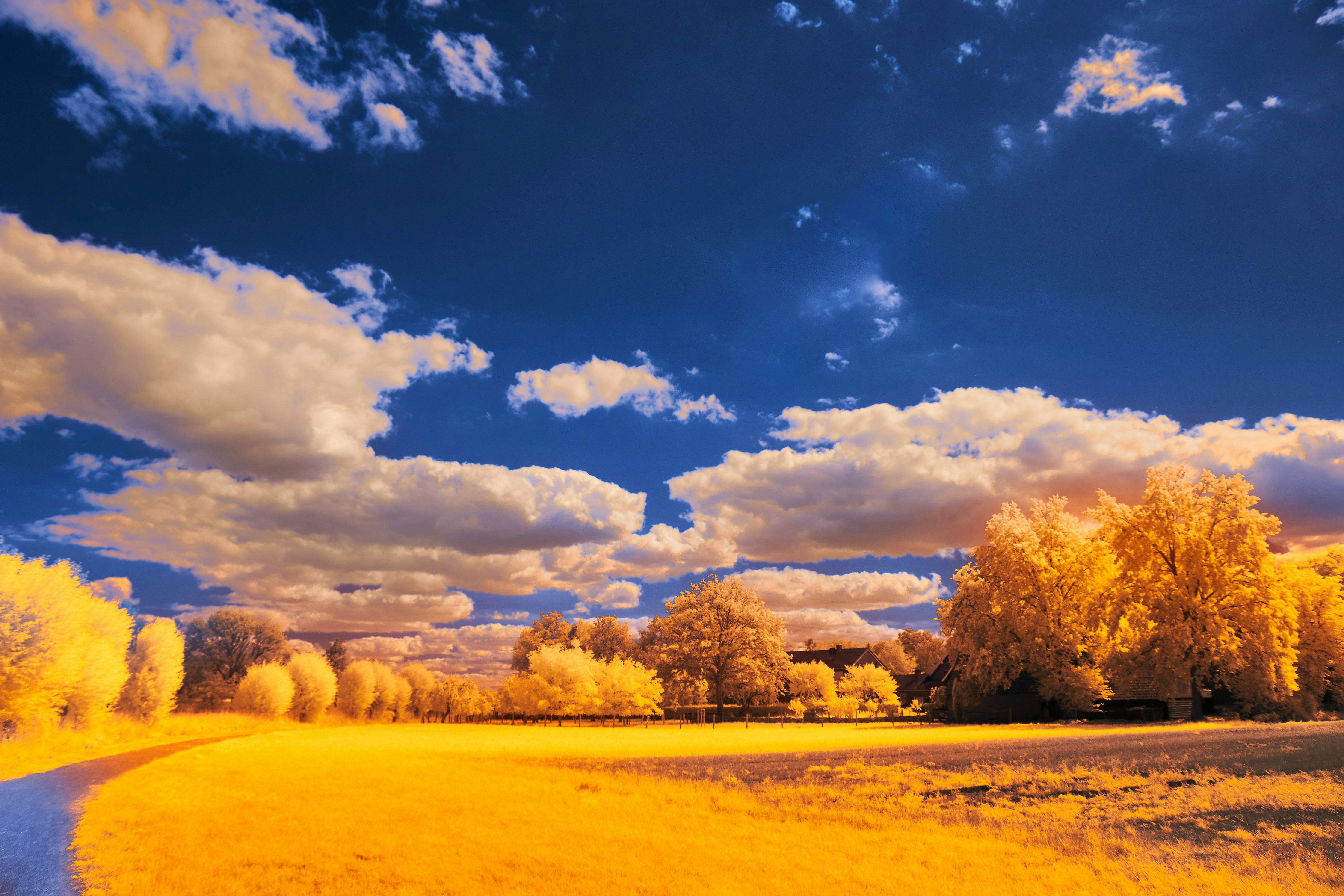 Photo by wolfgang_hasselmann