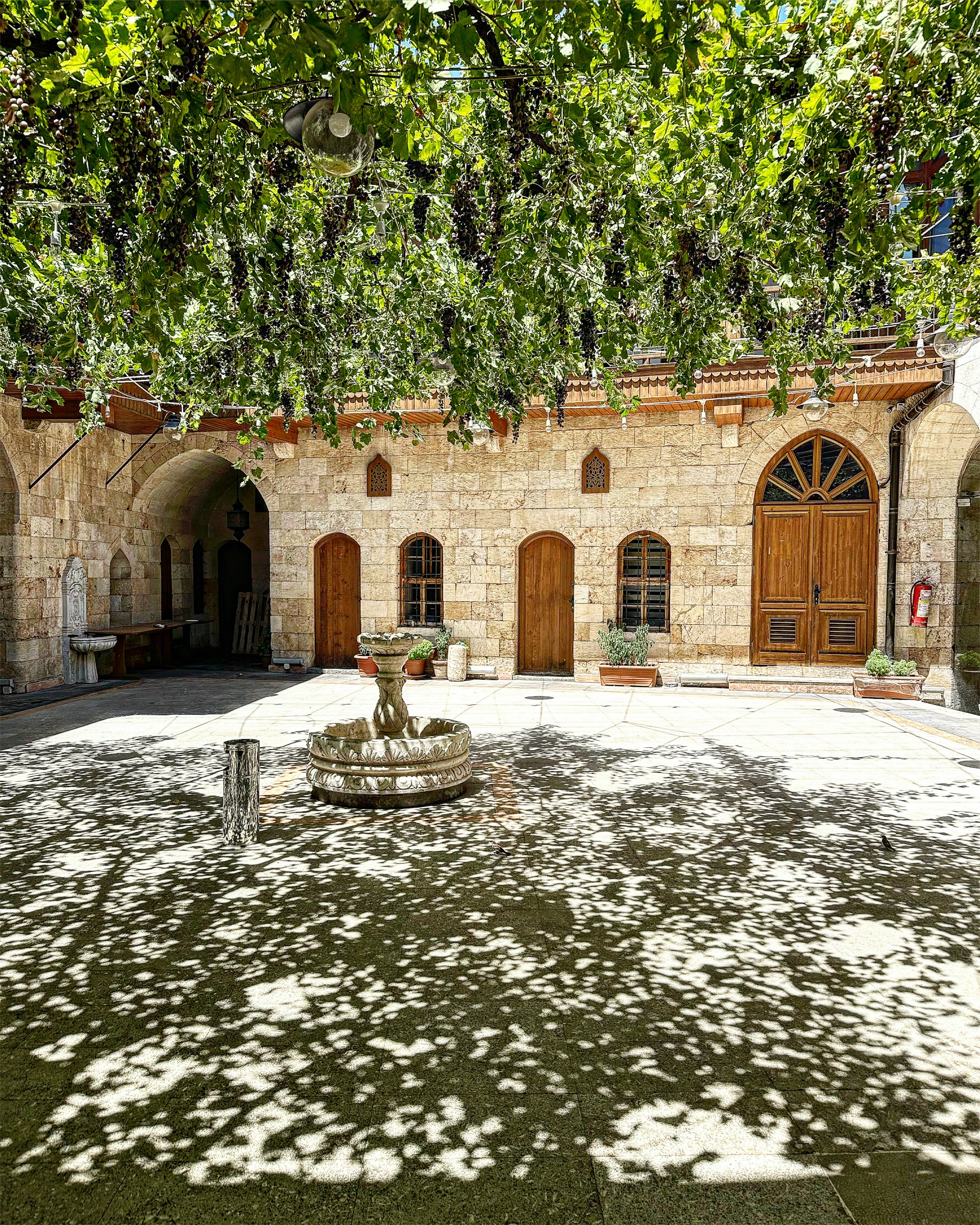 A cozy, sunlit courtyard of a heritage homestay in Nashik, with lush grapevines and rustic stone walls inviting travelers to slow down.