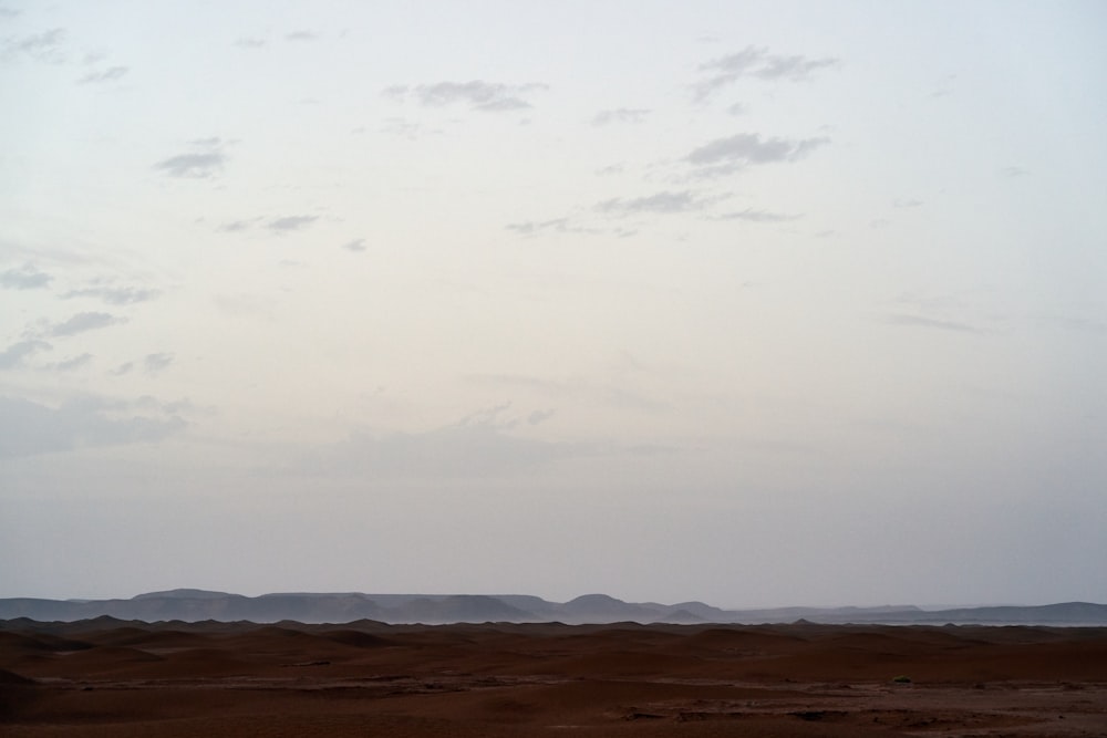 a lone horse standing in the middle of a desert