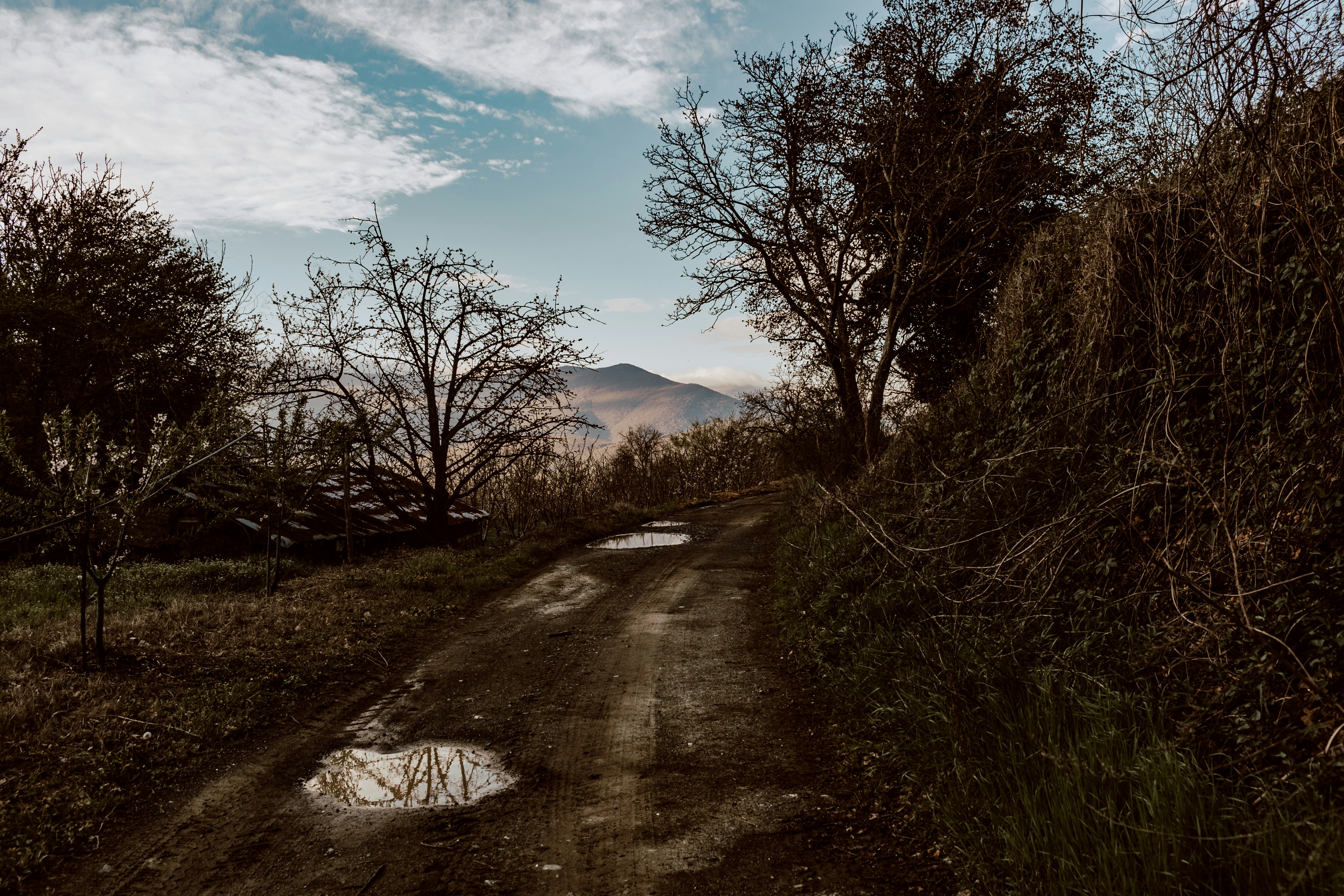 Photo by tassomitsarakis