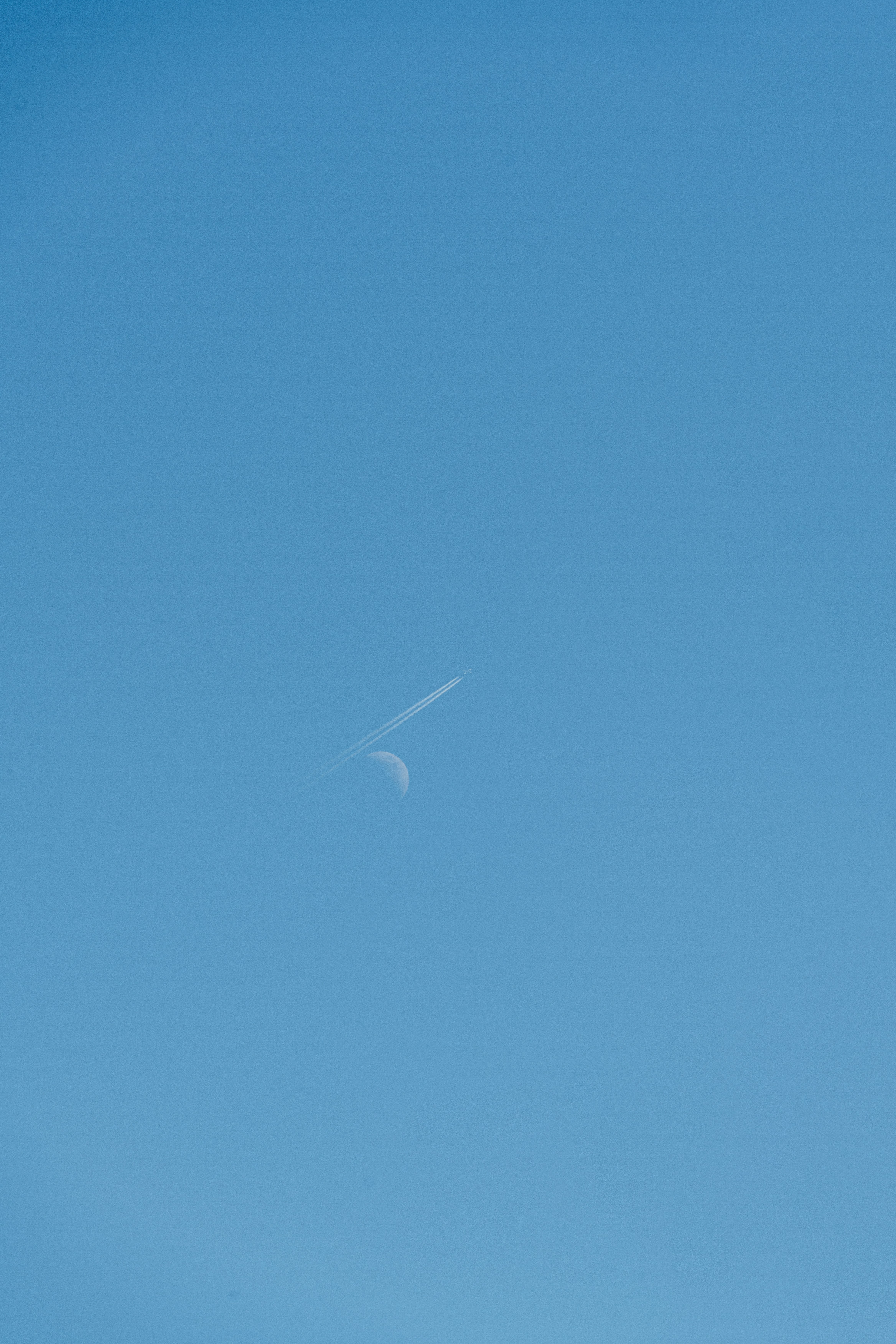 Photo by ja_domenech