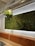 A beautifully designed vertical garden installation in a modern living room.