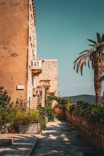 A sunny pathway through lush greenery leading to Chandra Cilas Home Stay.