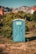 A blue portable toilet stands in the middle of a grassy area surrounded by lush green bushes. In the background, there are rocky mountains and houses with red-tiled roofs, under a clear blue sky.