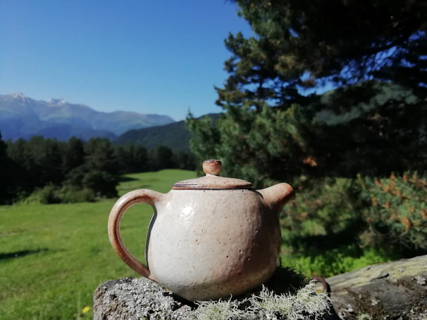 Hand-crafted ceramic teapot with a deep green glaze, steam gently rising in a calm morning setting.
