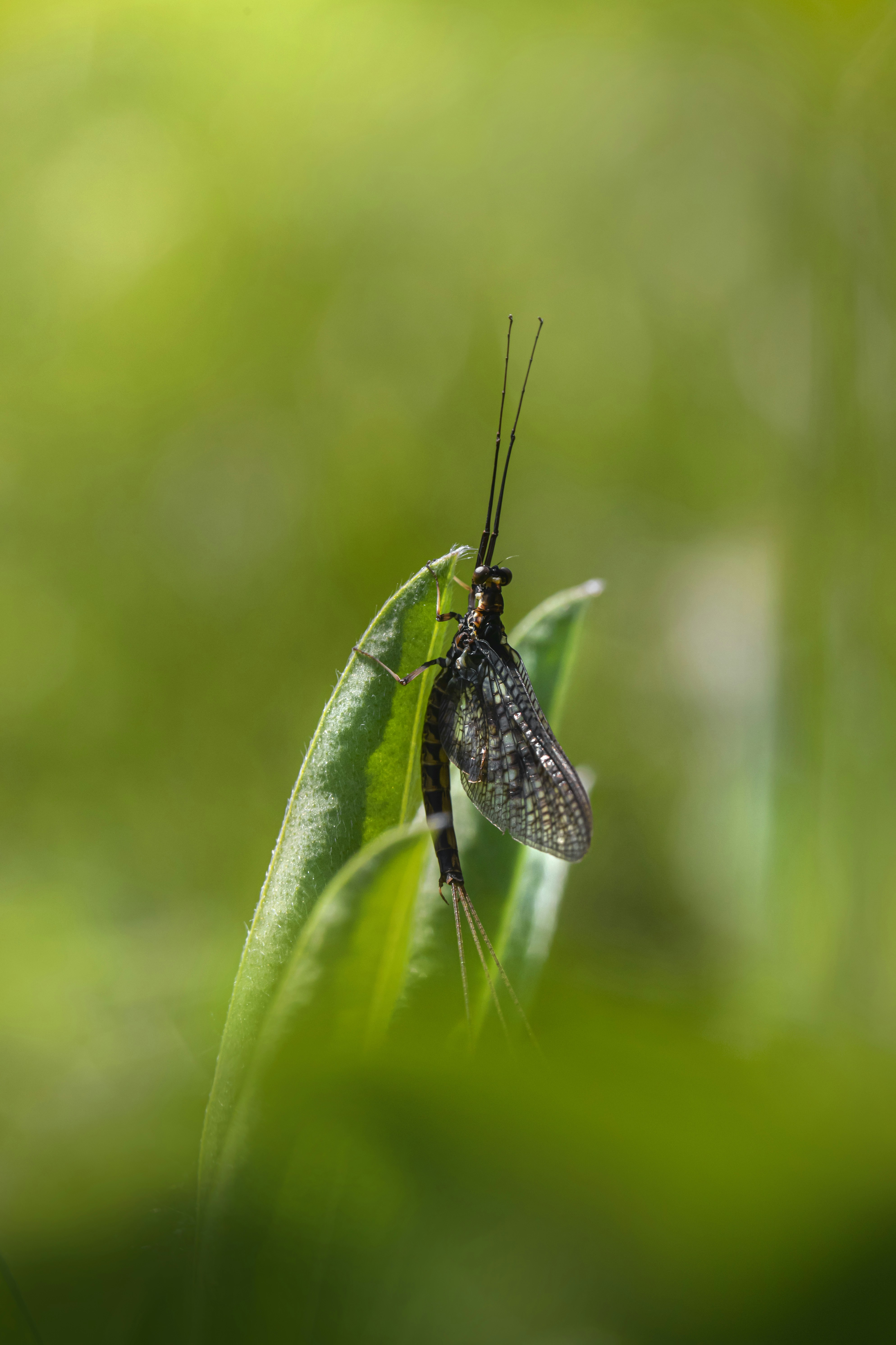 Photo by erik_karits