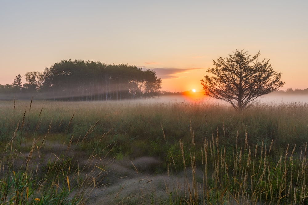 the sun is setting over a foggy field