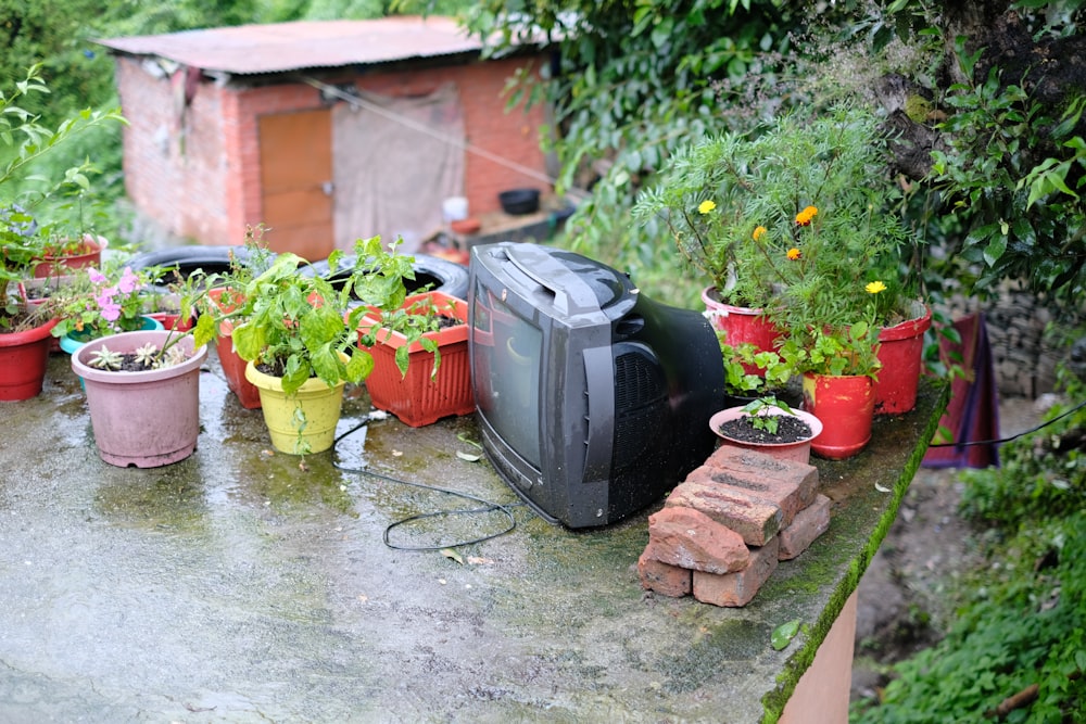 a table topped with potted plants and a tv