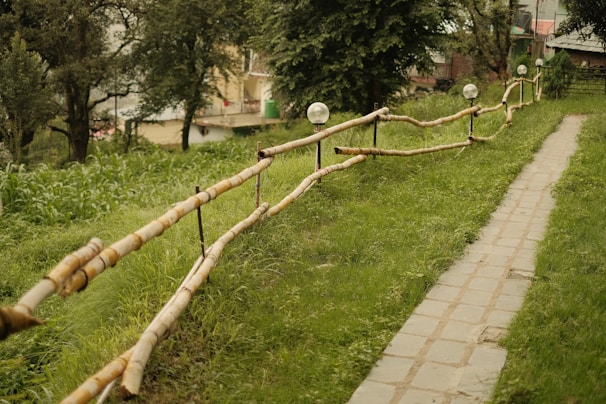 A winding stone pathway runs alongside a wooden fence with spherical lamps, surrounded by lush greenery. Trees and a building are visible in the background.