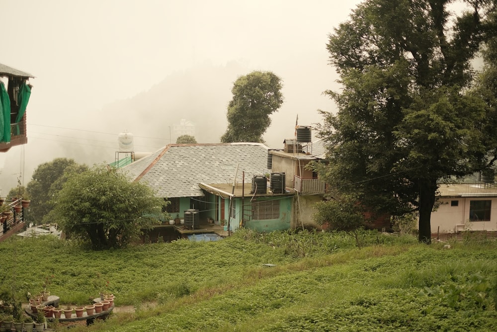 a house in the middle of a lush green field