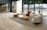 A bright living room featuring elegant minimalist furniture with natural wood tones.