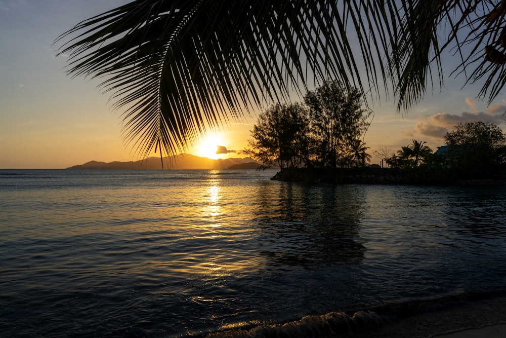 O sol está se pondo sobre uma ilha tropical