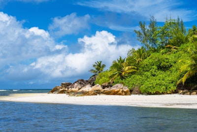 A vibrant beach scene with clear blue water and palm trees.