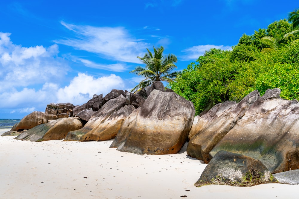 a sandy beach with large rocks and palm trees