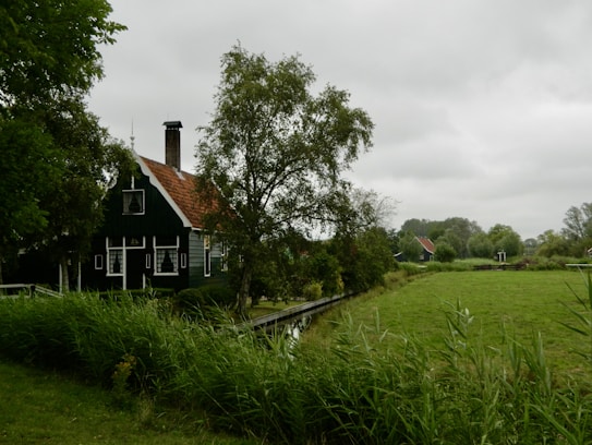 A rustic house with a dark exterior and red-tiled roof is surrounded by lush greenery and tall grasses. The scene includes a small canal running alongside the house and a cloudy sky overhead. Trees and a few other structures are visible in the distance.