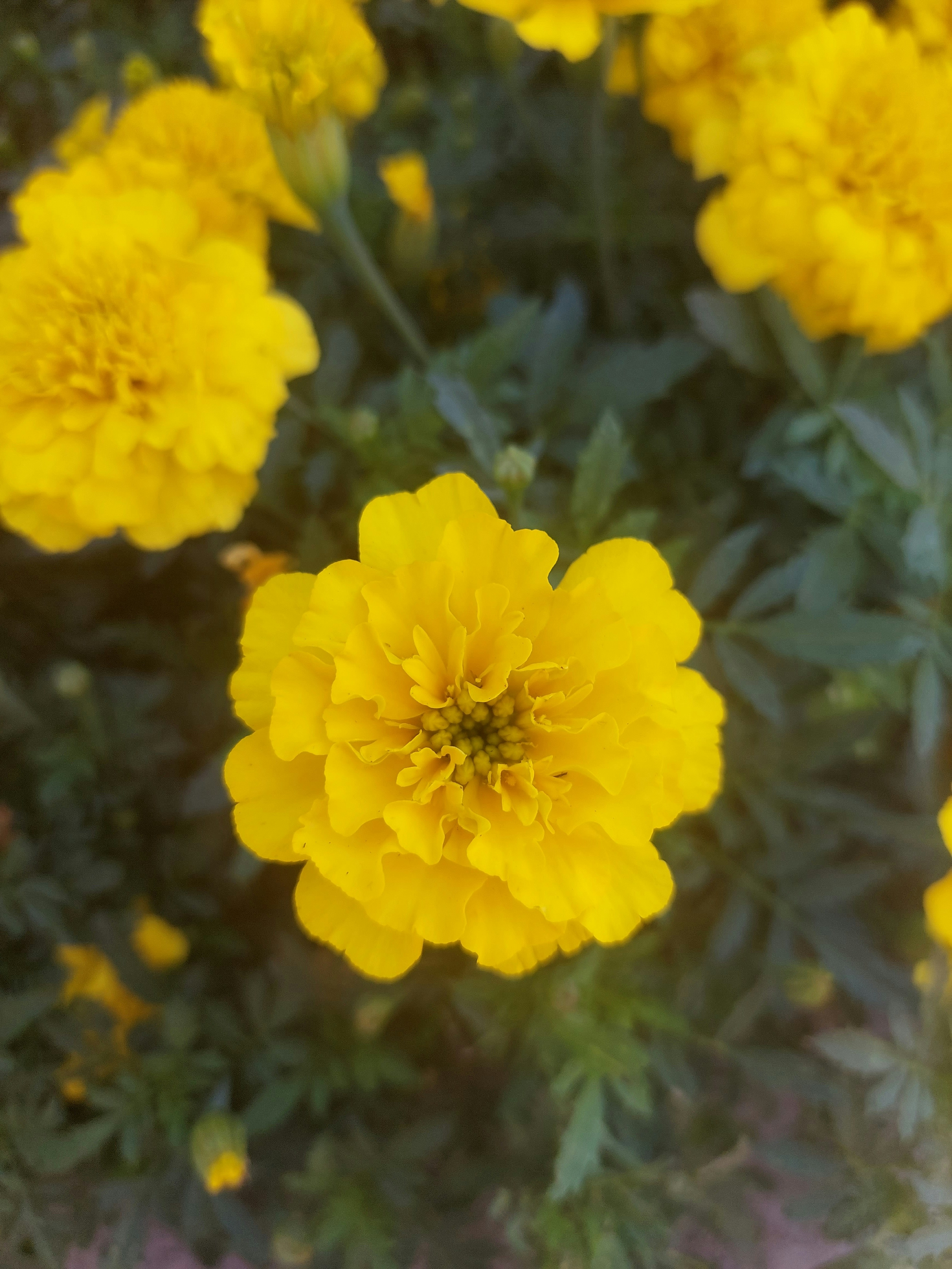 Photo by desislava_ivanova