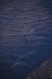 A lone figure stands in the middle of a large body of water, possibly engaging in fly fishing. The water is vast and expansive, with ripples and a deep blue color. The person is wearing gear that suggests they are fishing, with protective clothing and holding a rod.