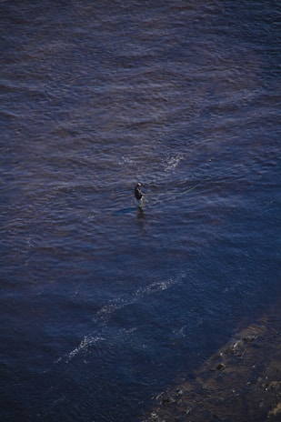 A lone figure stands in the middle of a large body of water, possibly engaging in fly fishing. The water is vast and expansive, with ripples and a deep blue color. The person is wearing gear that suggests they are fishing, with protective clothing and holding a rod.