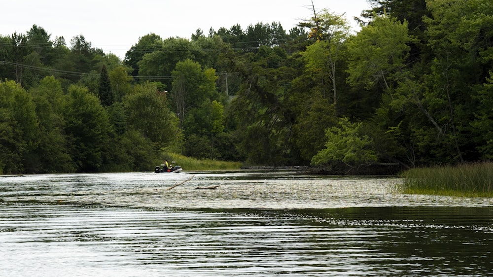 a man in a boat on a river surrounded by trees