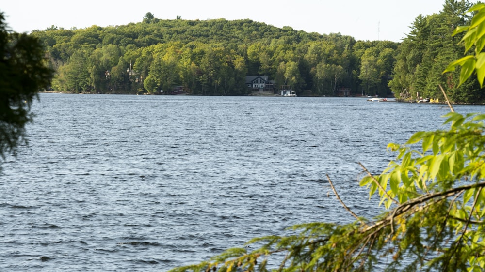 a body of water surrounded by trees and a house