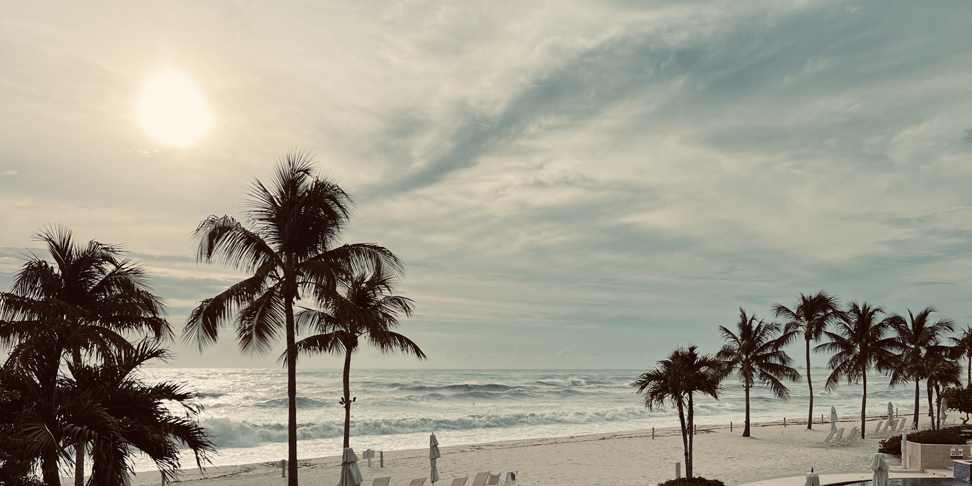 a sandy beach with palm trees and chairs