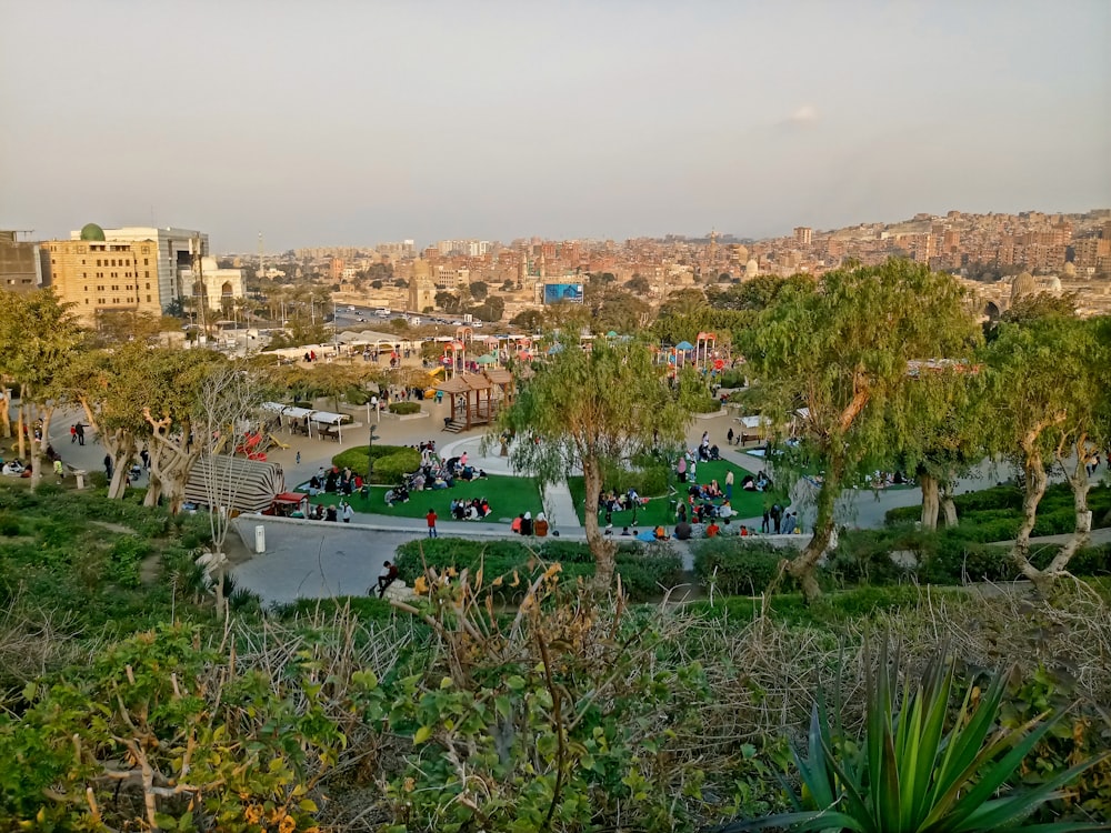 a view of a park in the middle of a city