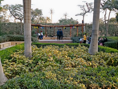 A well-maintained garden area with lush green plants, surrounded by tall trees and bushes. A group of people is gathered near a wooden pergola decorated with colorful lanterns. In the foreground, neatly trimmed bushes and trees create a serene and orderly atmosphere.