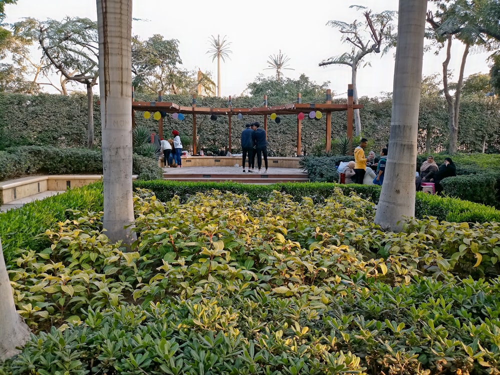 a group of people standing around a lush green park