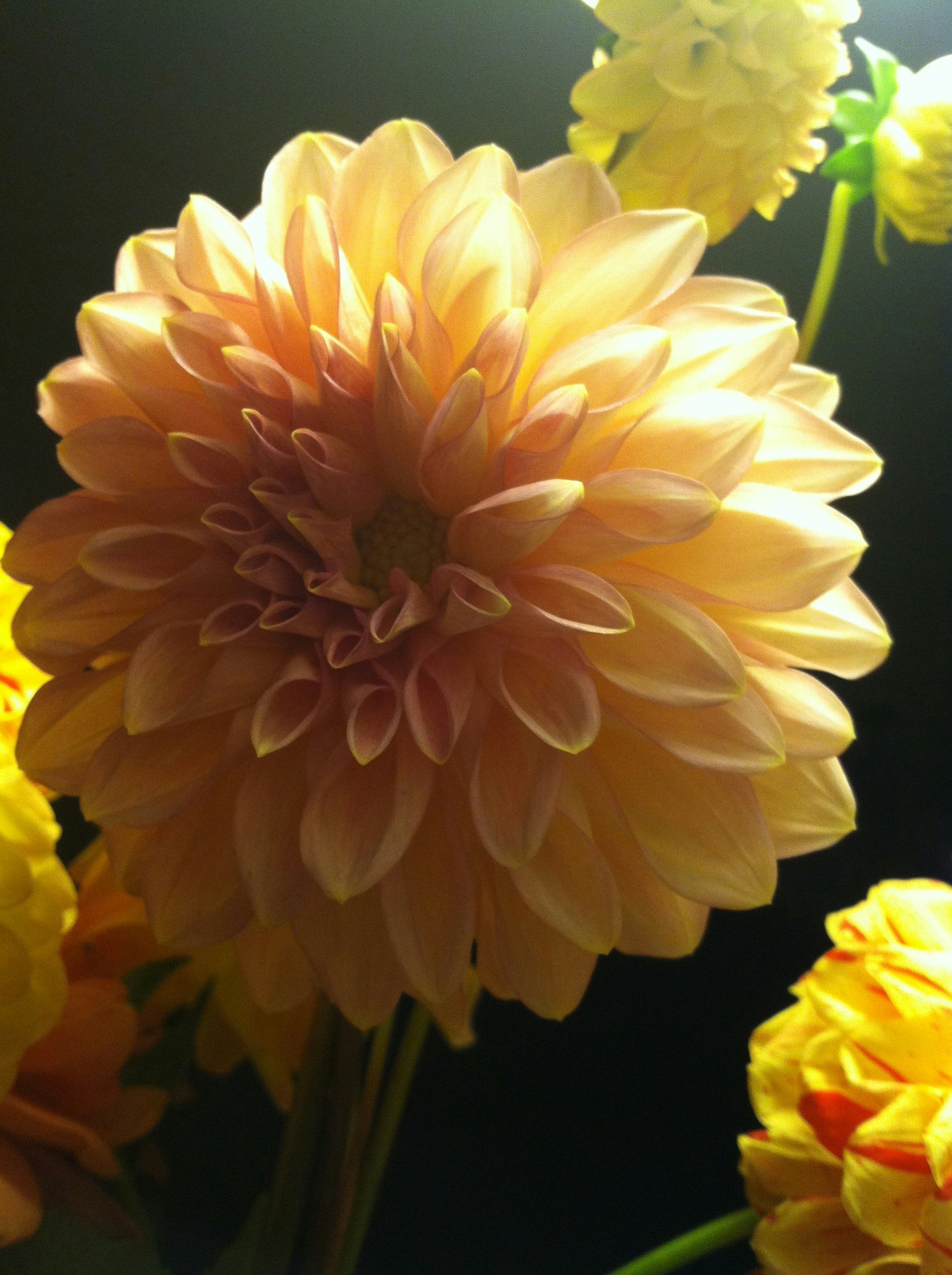 Photo by catgauthier