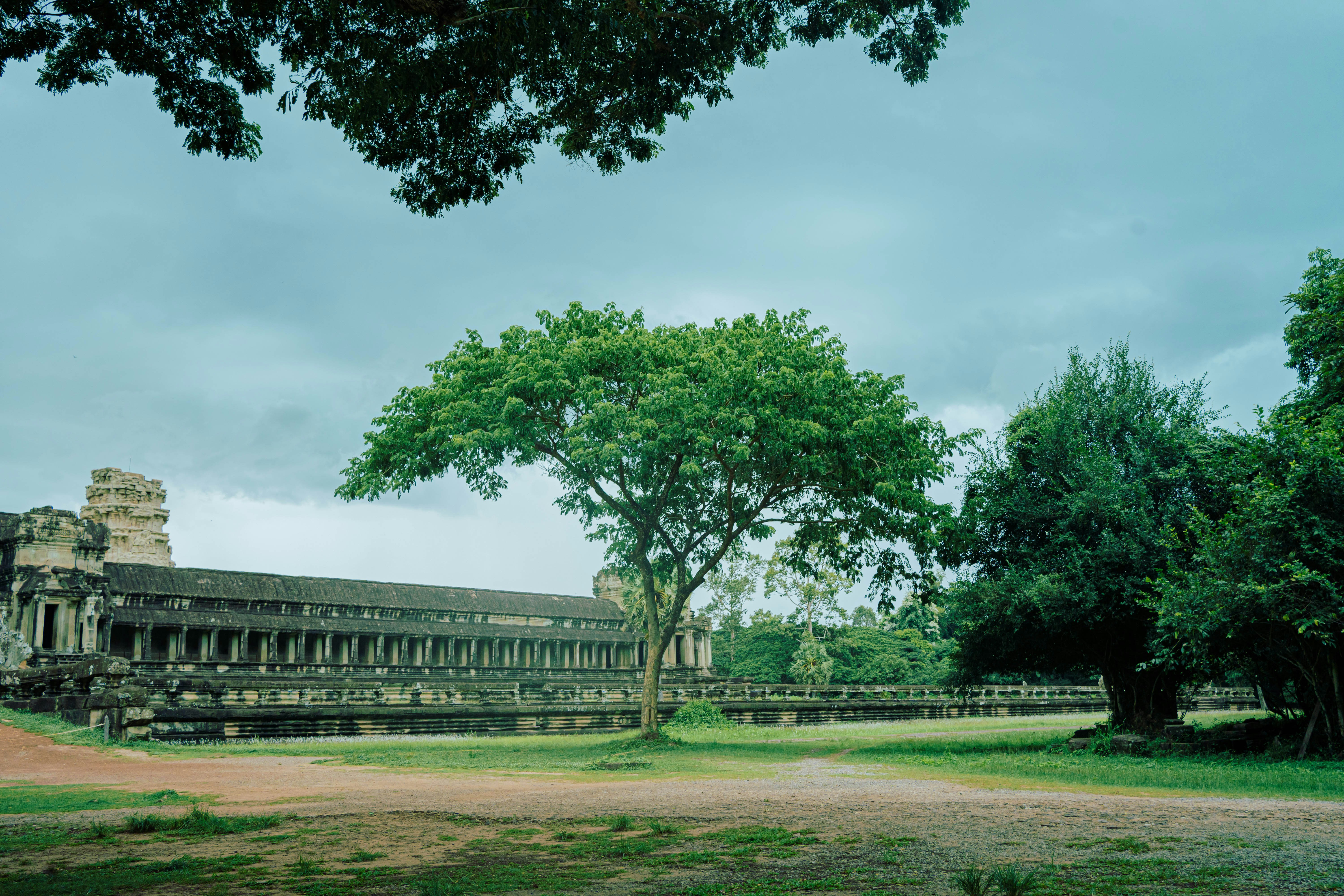 a large building with a tree in front of it