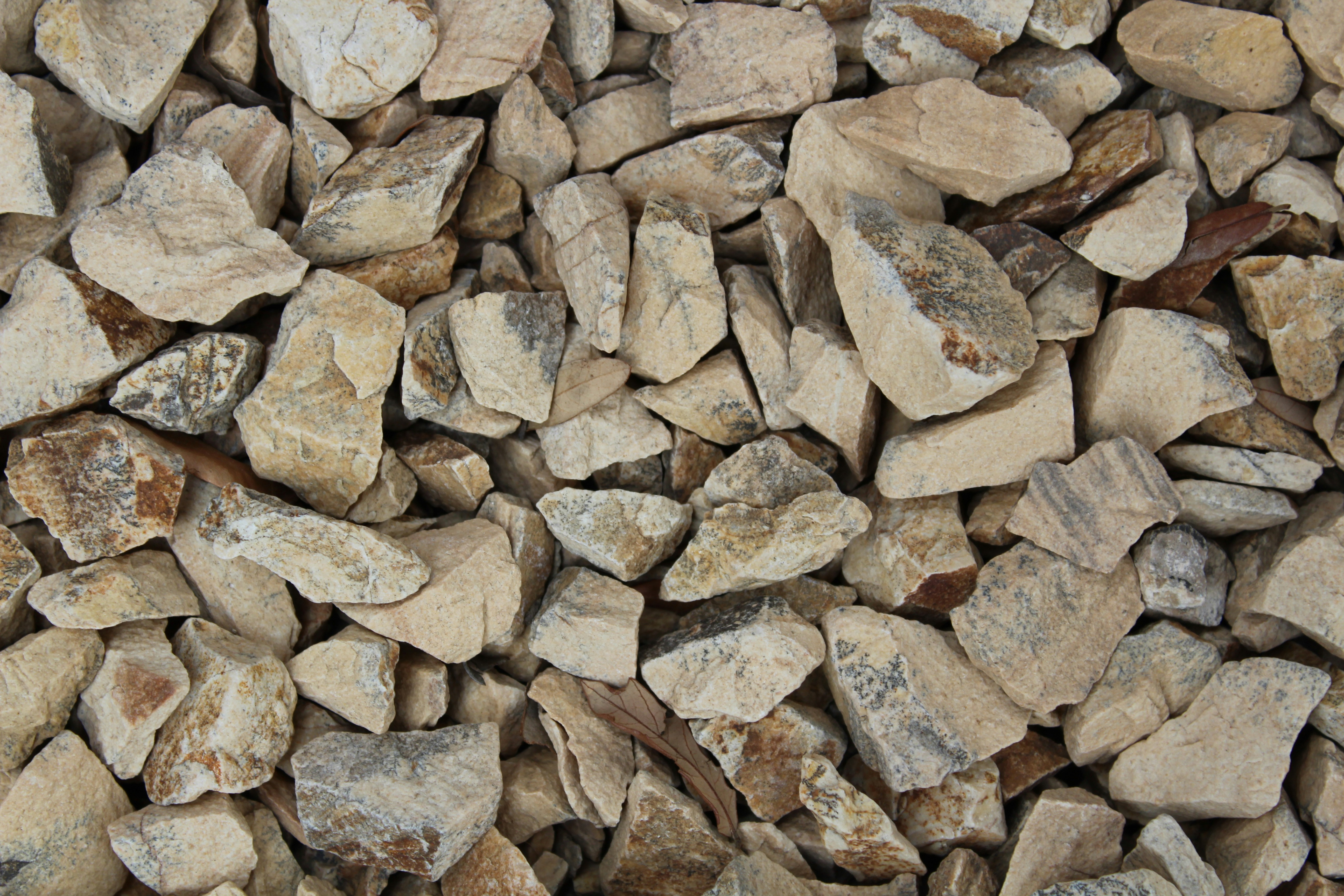 Photo by usermcleod1