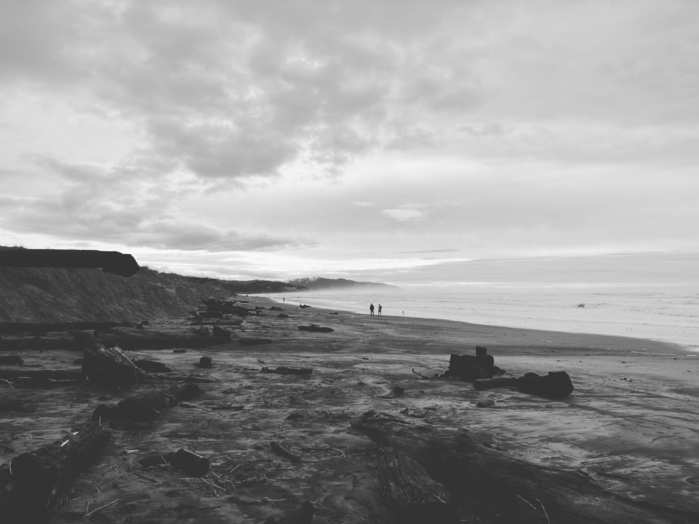 a black and white photo of a beach