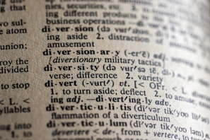 A close-up view of a dictionary page showing words and definitions related to 'diversion' and 'diversity'. The text is crisp with clear phonetic transcription and explanations in a serif font. The paper has a textured, off-white appearance, suggesting age or frequent use.